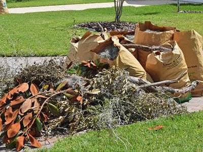 Yard Debris Removal