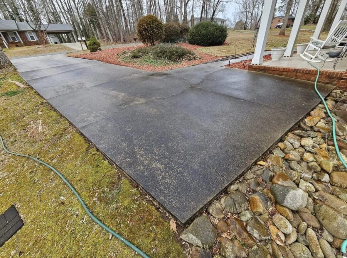 1000026613 1000026613